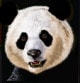 Panda King - дикий символ игры