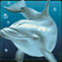 гаминатор Dolphins Pearl