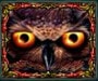 Owl Eyes - дикий символ игры