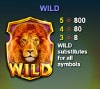 Специальный символ игры Wild Run