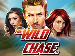 игровой аппарат Wild Chase
