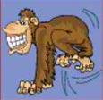 Crazy Monkey - скаттер (бонусный символ)