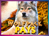 Wolfpack Pays